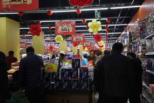 駐馬店市多樂(lè)多超市開業(yè)慶典暨精準(zhǔn)扶貧公益活動(dòng)啟動(dòng)儀式盛大啟幕